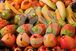 Frutta martorana photo