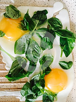 fry eggs with basil