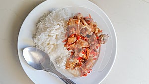 Fry pork with pepper chili and rice