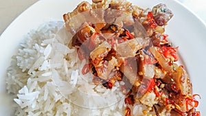 Fry pork with pepper chili and rice.Thai food