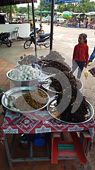 Fry spider in combodia