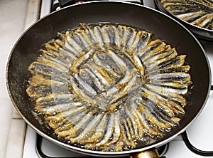 Frying anchovy photo