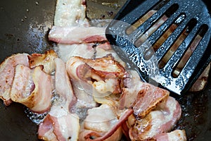Frying bacon in the pan