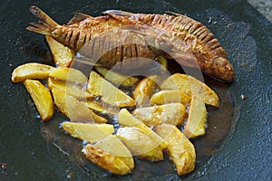 Frying carp fish and potatoes in deep fat
