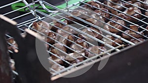 Frying champignons in summer on grill grate in a park