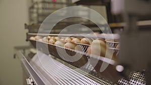 Frying dough in oil to make pastry, donuts, doughnuts. Scene. Professional kitchen. Industrial production of donuts