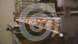 Frying dough in oil to make pastry, donuts, doughnuts. Scene. Professional kitchen. Industrial production of donuts