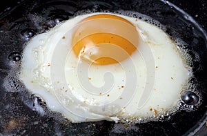 Frying egg