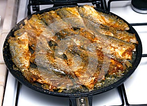 Frying fish