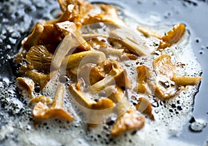 Frying fresh chanterelles