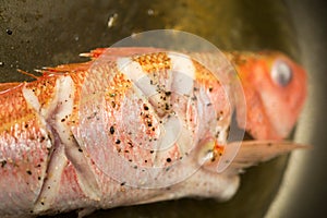 Frying fresh fish at home