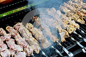Frying kebabs in the grill juicy meat on a skewer