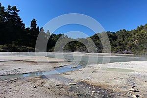 Frying Pan Flat in Thermal Wonderland Wai-O-Tapu in New Zealand