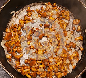 Frying pan with fried chanterelle mushrooms and onion