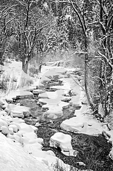 Frying Pan River winter scene with freshly fallen snow