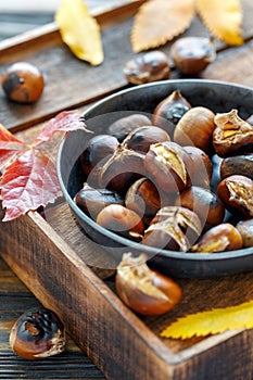 Roasted chestnuts in a cast iron skillet.