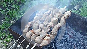 Frying pork on a skewer over a brazier. Appetizing shish kebab. Delicious barbecue.