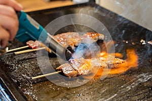 Flame Of Fire Grills Meat