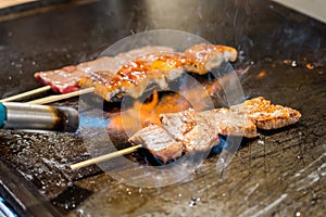 Flame Of Fire Grills Meat