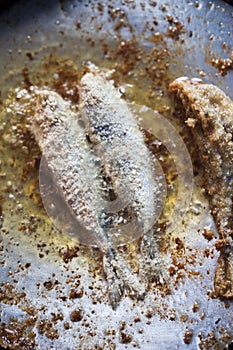 Frying small sardines fish, Chefchouen, Morocco photo