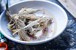 Frying small sardines fish, Chefchouen, Morocco photo