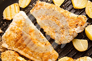 Frying tilapia photo