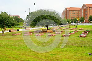 FSU campus landscape