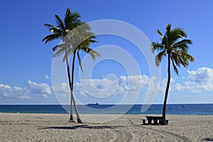 Ft. Lauderdale Beach