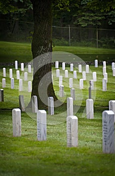 Ft. Lawton Cemetery.