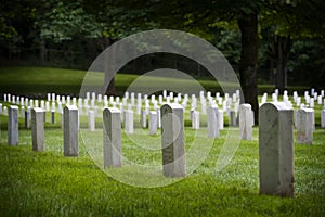 Ft. Lawton Cemetery. photo