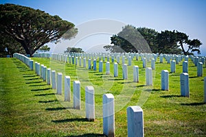 Ft. Rosecrans National Cemetary in San Diego photo