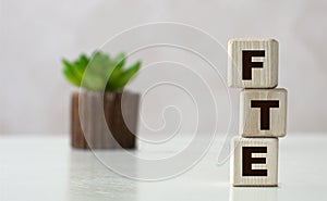 FTE word on wooden cubes on a light background with a cactus