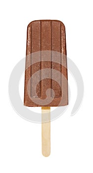 Fudgesicle or Chocolate Pudding Popsicle