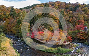 Fudo stream in autumn season at Nakano momiji mountain.