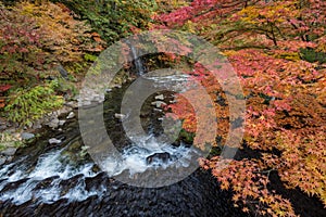 Fudo stream in autumn season at Nakano momiji mountain. photo