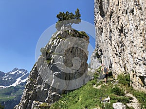 Fueessler-Felsen or Fuessler-Felsen on the Ebenalp alpine hill and in the Appenzellerland region