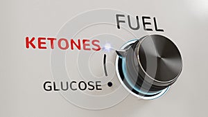 Fuel Knob: Ketones and Glucose photo