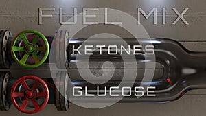 Fuel Mix: Ketones / Glucose