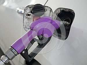 fuel nozzle. Fill the oil with the purple nozzle. fill the oil e20 full tank in white car.