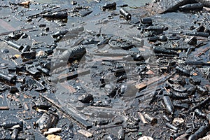 Fuel oil and plastic garbage contaminated ocean water