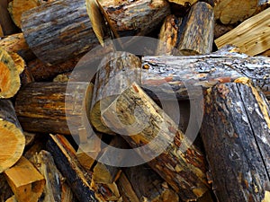 Fuel wood