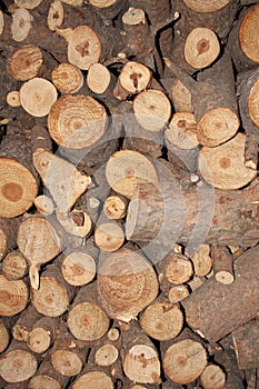 Fuelwood