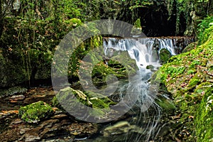 Fuente del FrancÃÂ©s - Hoznayo, Cantabria photo