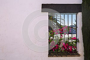 Fuente Palmera whitewashed walls and windows full of flowers, Cordoba, Spain photo