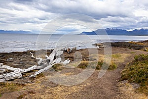 Fuerte or Fort Bulnes Beach, Site of First Chilean Antarctica Colonization Settlement