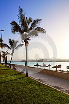 Fuerteventura Caleta del Fuste Canary Islands