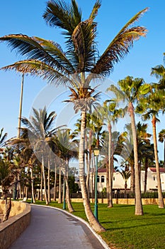 Fuerteventura Caleta del Fuste Canary Islands