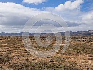 Fuerteventura, Canaries, Spain