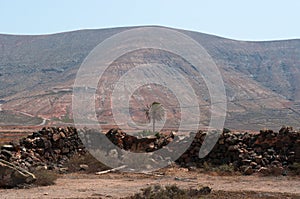 Fuerteventura, Canary islands, Spain, volcano, mountain, nature, landscape, desert, wild, climate changes, stone, palm tree