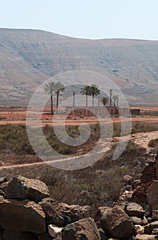 Fuerteventura, Canary islands, Spain, volcano, mountain, nature, landscape, desert, wild, climate changes, stone, palm tree